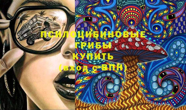 прущие грибы Алексин