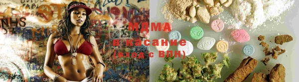 мдпв Абаза