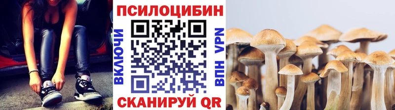 kraken ссылки  Кирсанов  Галлюциногенные грибы Psilocybe  дарнет шоп 